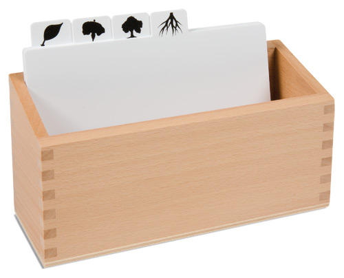 Kasten für Kopiervorlagen für die Botanischen Puzzles