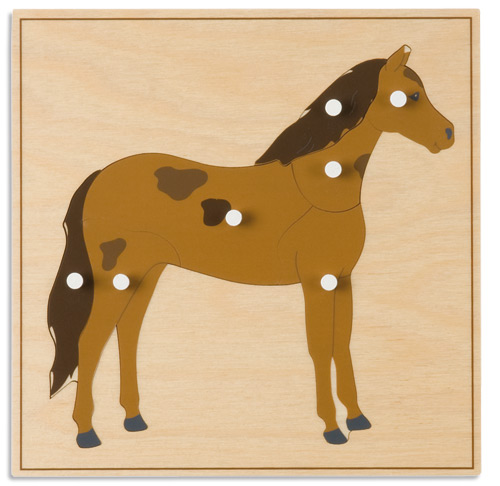 Tierpuzzles: Pferd