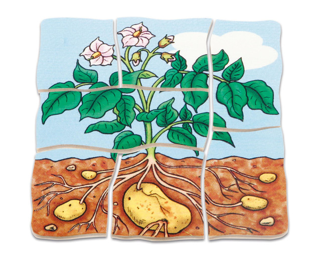 Lagenpuzzle Kartoffel, Holzpuzzle mit 5 Lagen, 4-5 Jahre
