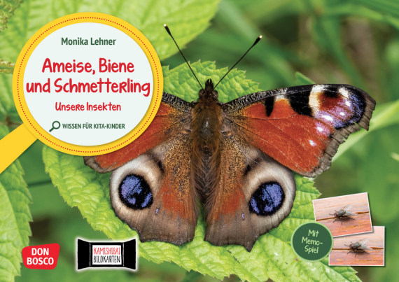 Ameise, Biene und Schmetterling. Unsere Insekten. Kamishibai Bildkarten und Memo-Spiel ab 3 Jahre