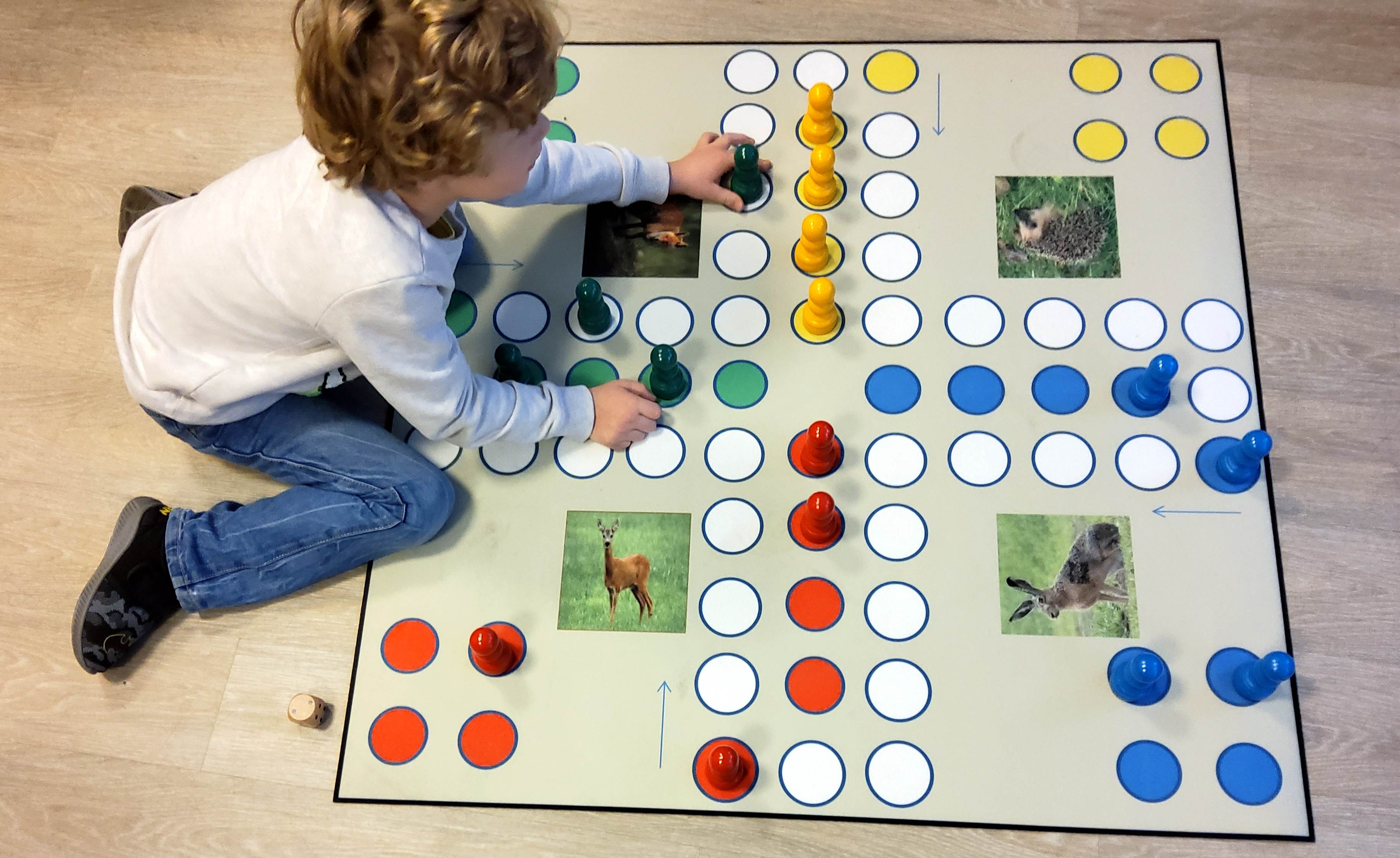 Spielteppich Ludo Tiere, inklusive Zubehör