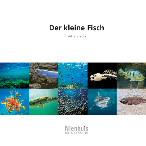 Der kleine Fisch, kosmisches Leseheft, ab 6 Jahre
