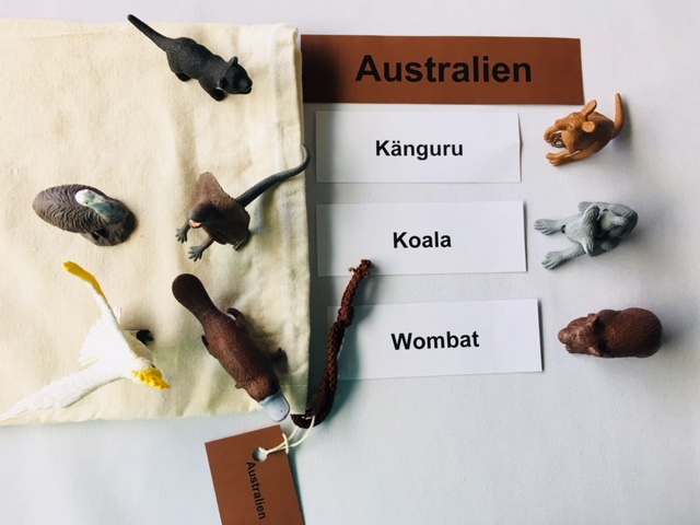Tiere überall auf unserer Erde, Lernmaterial