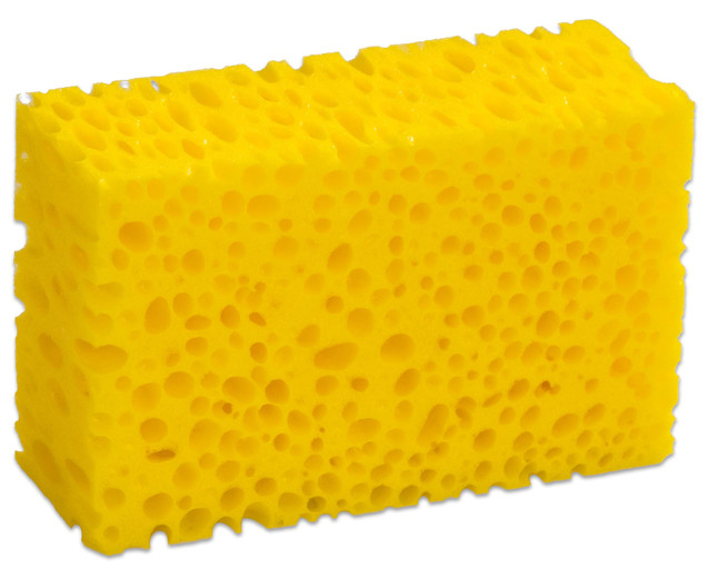 Tafelschwamm, grobporig, gelb, haltbar, 5 Stück