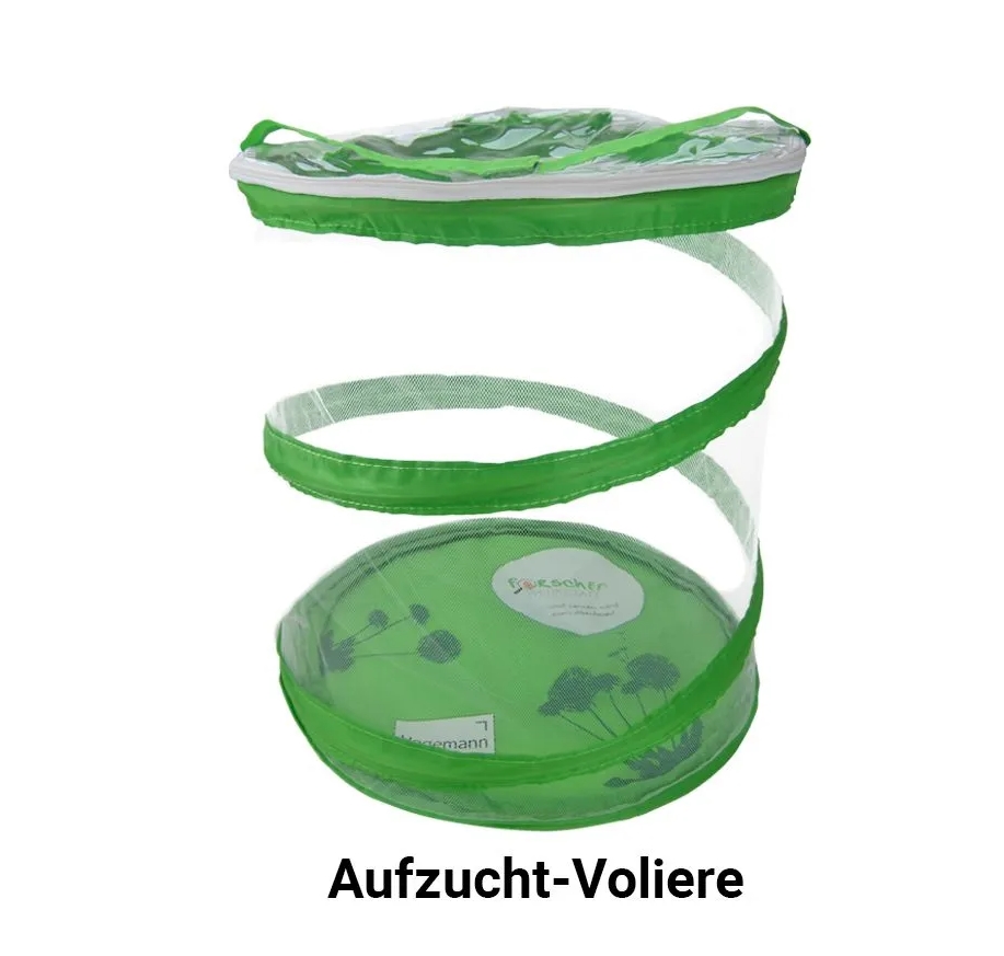 Zuchtset Schmetterlinge, Gutschein-Set, kompakt, 8 Teile