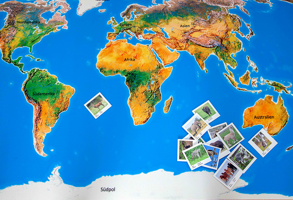 Spielteppich Landschaften der Erde mit 36 Tierkarten
