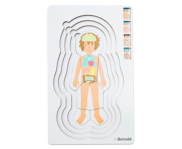 Lagenpuzzle Anatomie Junge, ab 4 Jahre