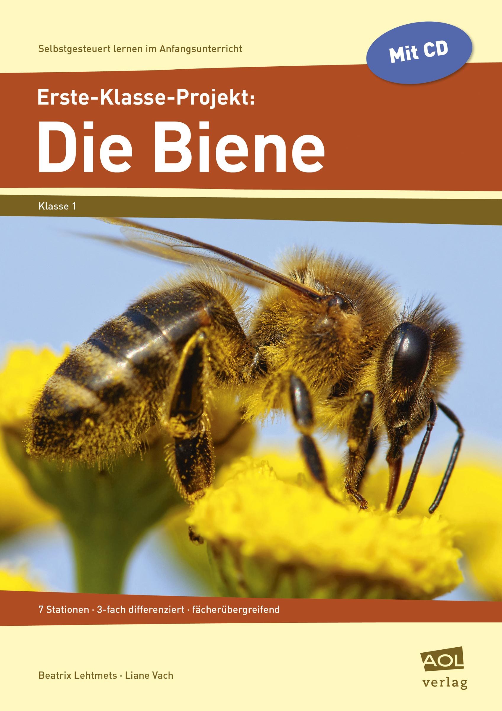 Erste-Klasse-Projekt: Die Biene - Broschüre