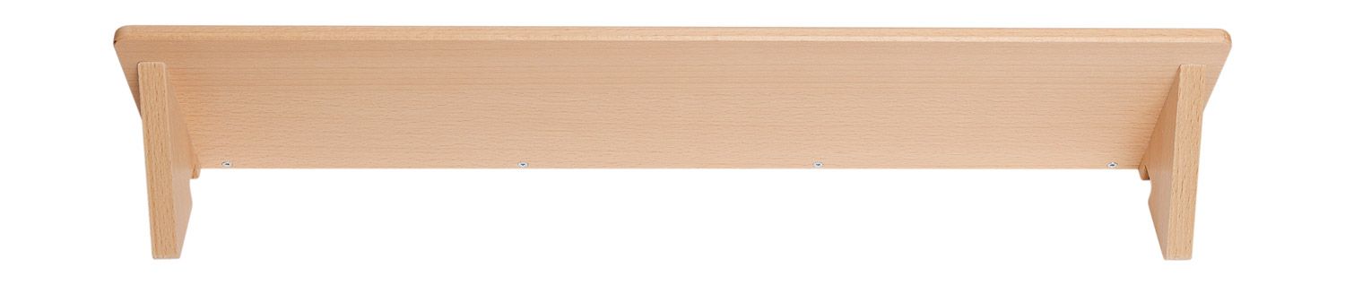 Präsentationsleiste 60x14 cm