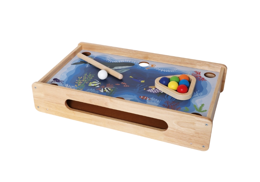 PINTOY 2 in 1 Billard und Puck Spiel