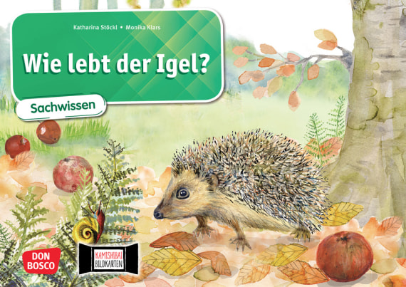 Kamishibai Bildkartenset - Wie lebt der Igel?, 6-10 Jahre
