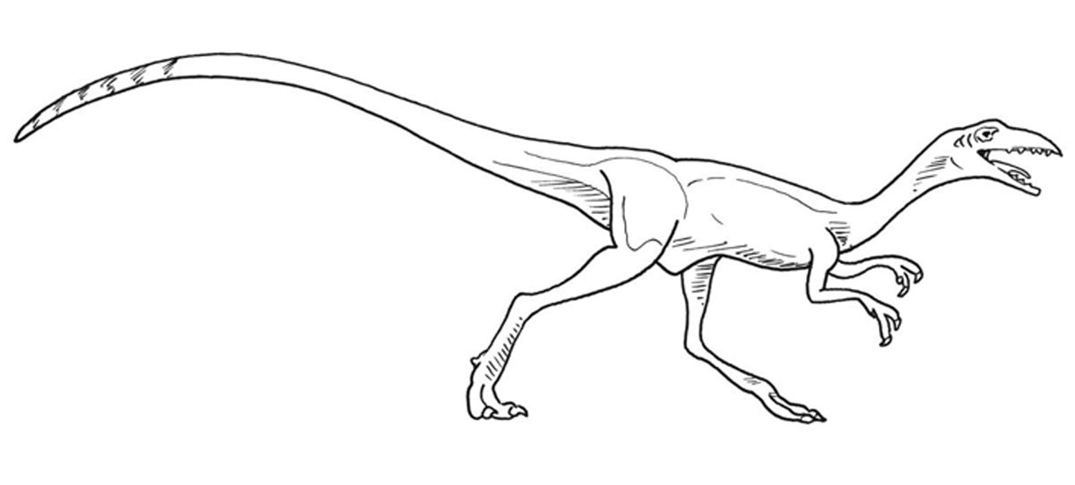 Dinosaurier - Werkstatt, 3./4. Klasse