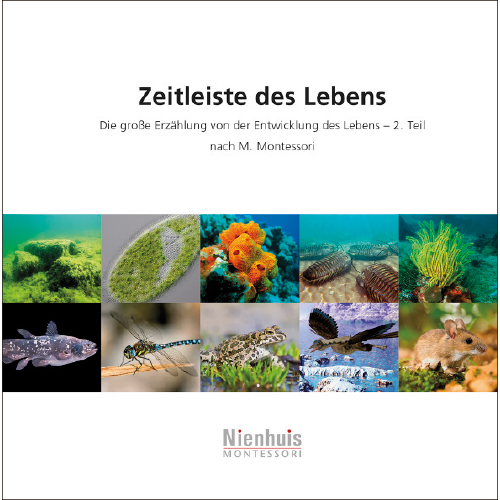 Zeitleiste des Lebens, Kosmisches Leseheftchen