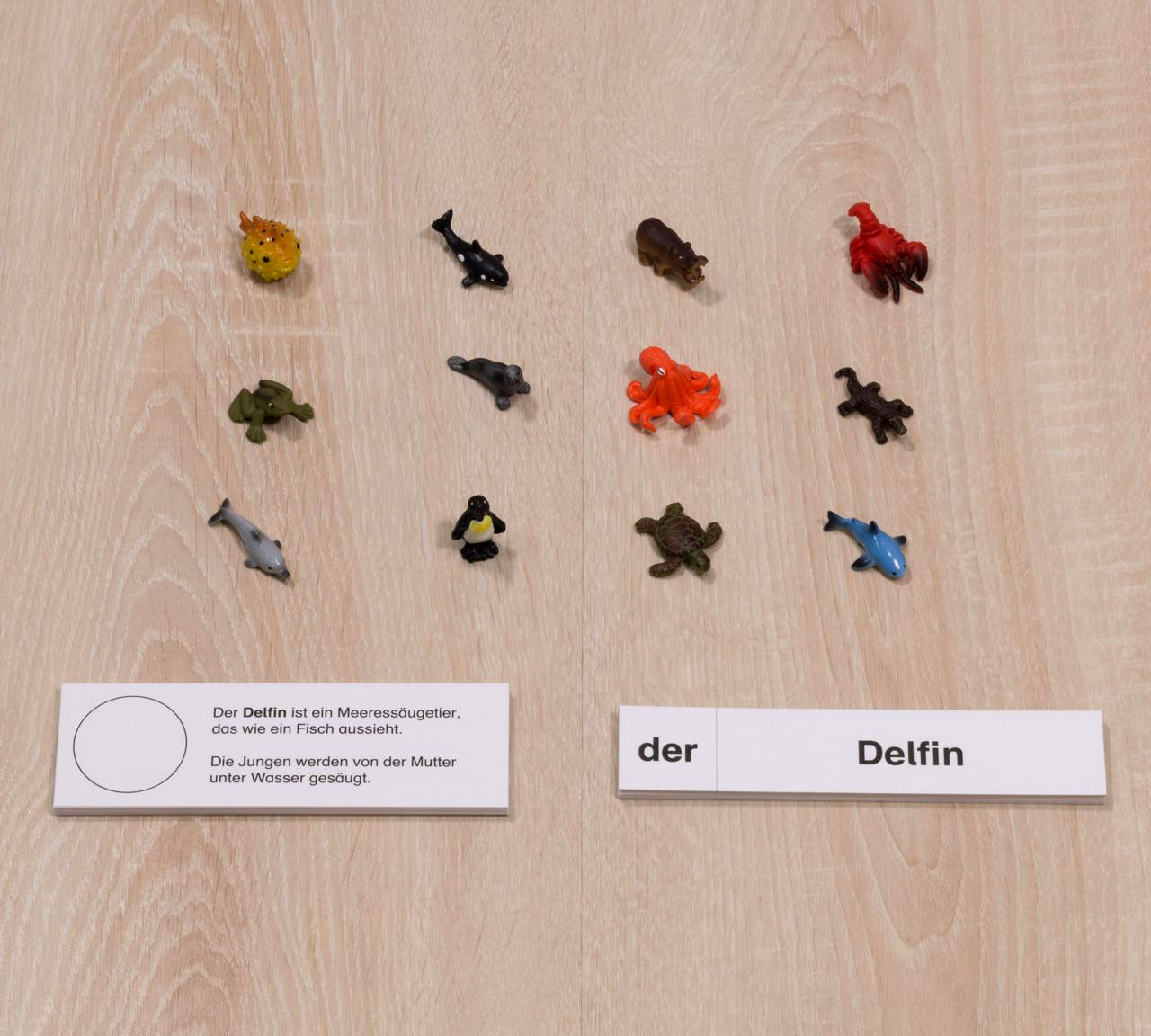 Wassertiere, Lesematerial, ab 1. Klasse