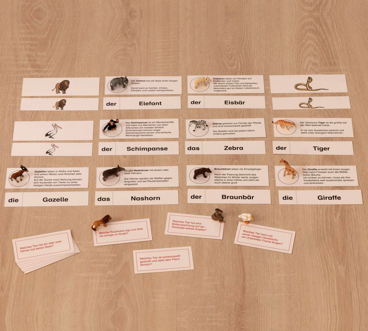 Tiere im Zoo, Lesematerial, ab 1. Klasse